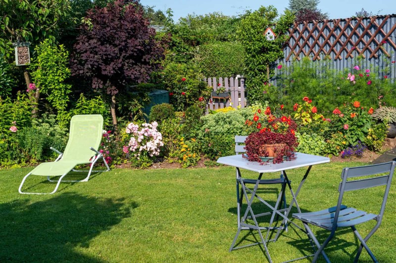 Droogtebestendig tuinieren:7 bewezen technieken voor een bloeiende tuin 