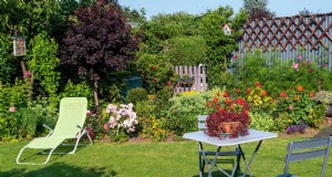Droogtebestendig tuinieren:7 bewezen technieken voor een bloeiende tuin 