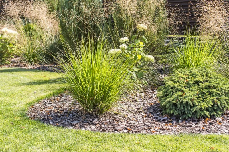 Droogtebestendig tuinieren:7 bewezen technieken voor een bloeiende tuin 