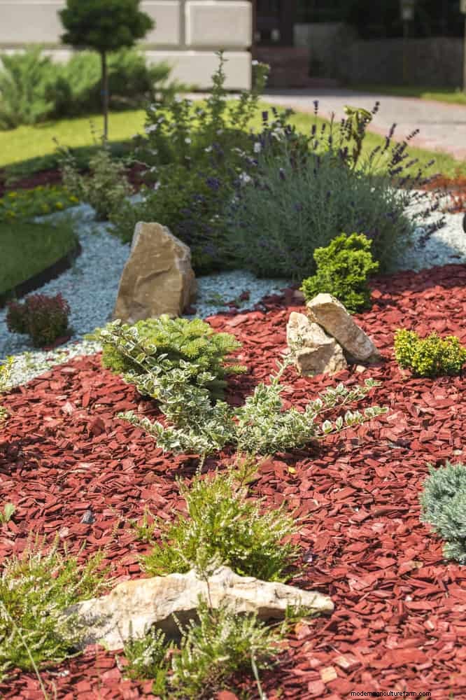 Droogtebestendig tuinieren:7 bewezen technieken voor een bloeiende tuin 