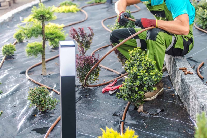 Droogtebestendig tuinieren:7 bewezen technieken voor een bloeiende tuin 