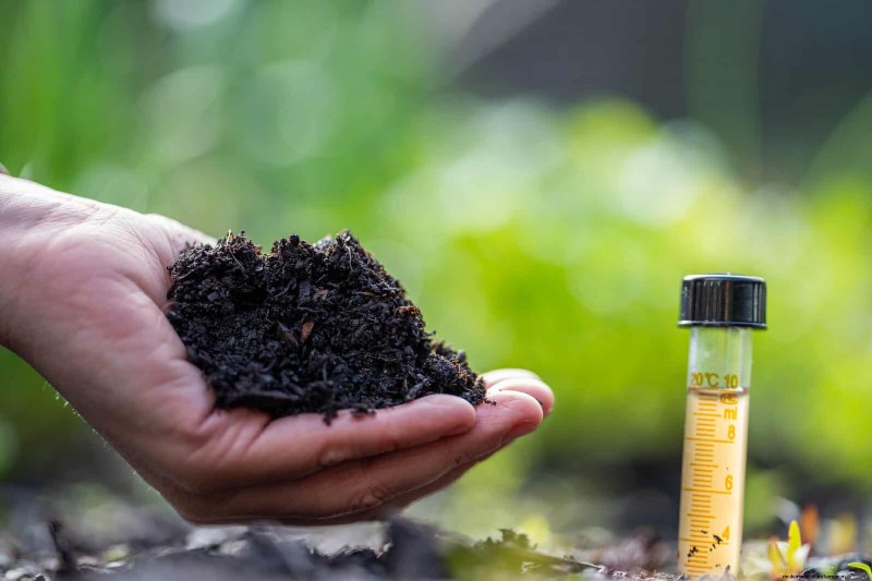 Droogtebestendig tuinieren:7 bewezen technieken voor een bloeiende tuin 