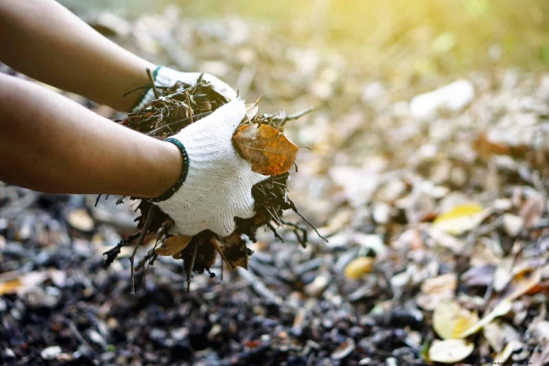 Droogtebestendig tuinieren:7 bewezen technieken voor een bloeiende tuin 