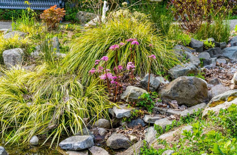 Droogtebestendig tuinieren:7 bewezen technieken voor een bloeiende tuin 