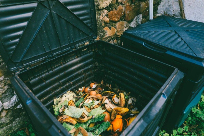 Vermijd veel voorkomende compostfouten voor een overvloedige tuin 