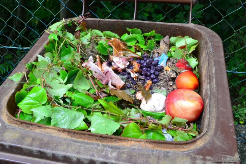 Vermijd veel voorkomende compostfouten voor een overvloedige tuin 