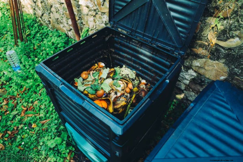 Vermijd veel voorkomende compostfouten voor een overvloedige tuin 