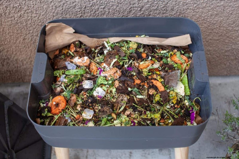 Vermijd veel voorkomende compostfouten voor een overvloedige tuin 