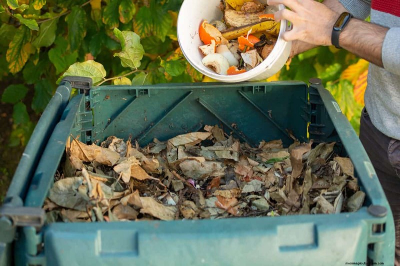 Vermijd veel voorkomende compostfouten voor een overvloedige tuin 