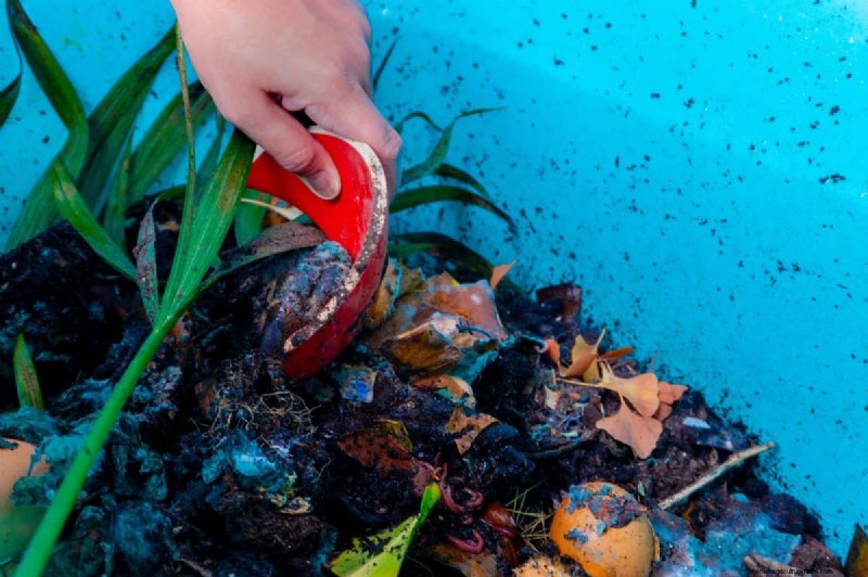 Vermijd veel voorkomende compostfouten voor een overvloedige tuin 