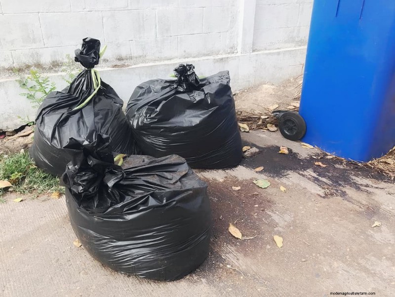Vermijd veel voorkomende compostfouten voor een overvloedige tuin 