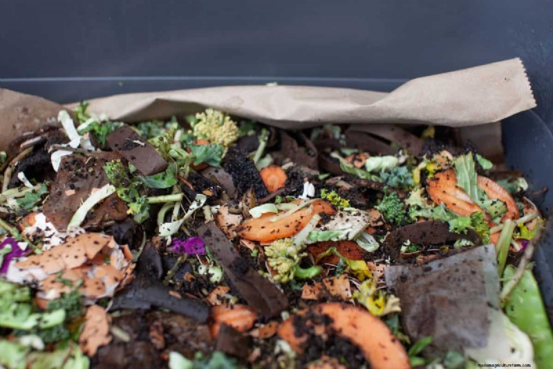 Vermijd veel voorkomende compostfouten voor een overvloedige tuin 