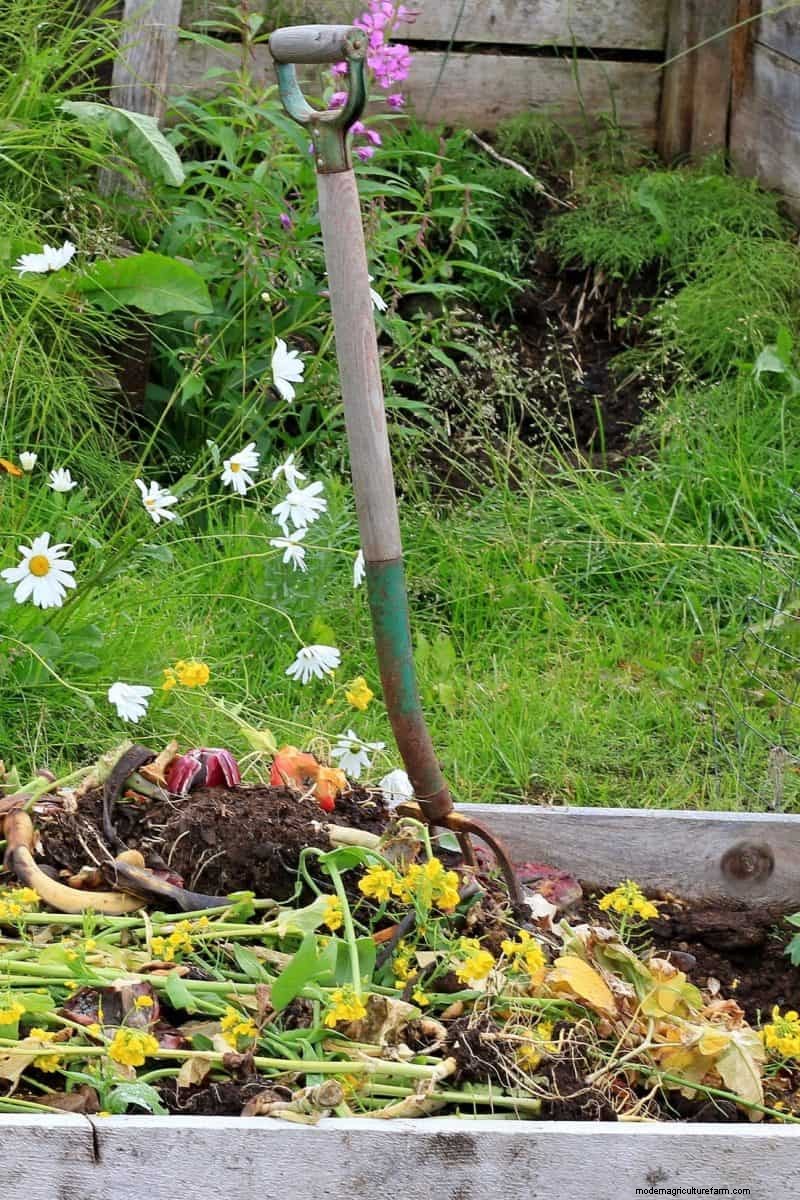 Vermijd veel voorkomende compostfouten voor een overvloedige tuin 