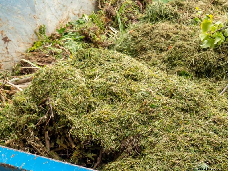 Vermijd veel voorkomende compostfouten voor een overvloedige tuin 