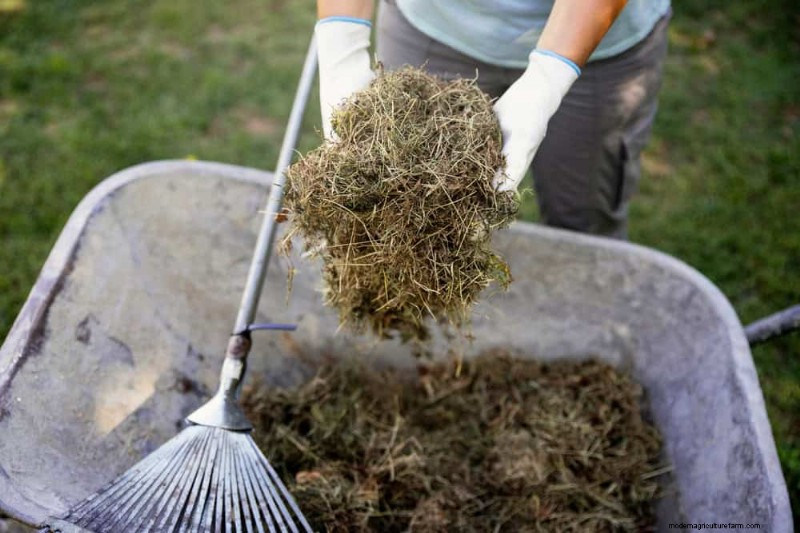 Vermijd veel voorkomende compostfouten voor een overvloedige tuin 