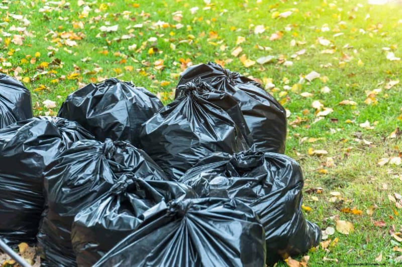 Vermijd veel voorkomende compostfouten voor een overvloedige tuin 