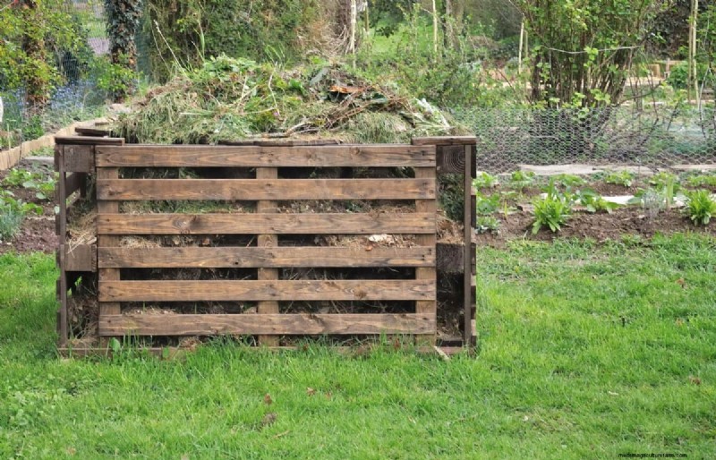 Vermijd veel voorkomende compostfouten voor een overvloedige tuin 