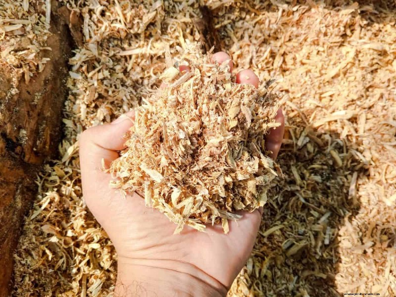 Vermijd veel voorkomende compostfouten voor een overvloedige tuin 