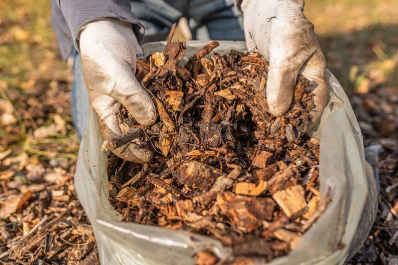 Vermijd veel voorkomende compostfouten voor een overvloedige tuin 