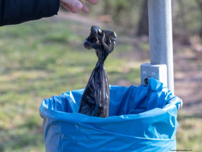 Vermijd veel voorkomende compostfouten voor een overvloedige tuin 