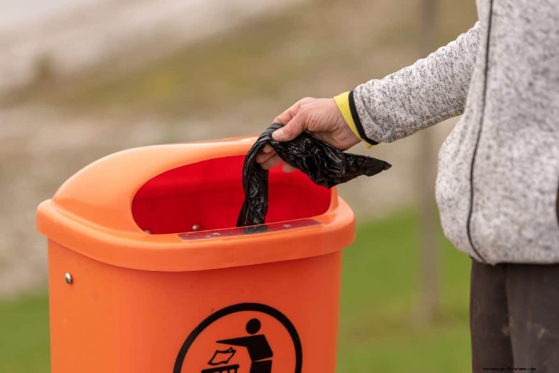 Vermijd veel voorkomende compostfouten voor een overvloedige tuin 