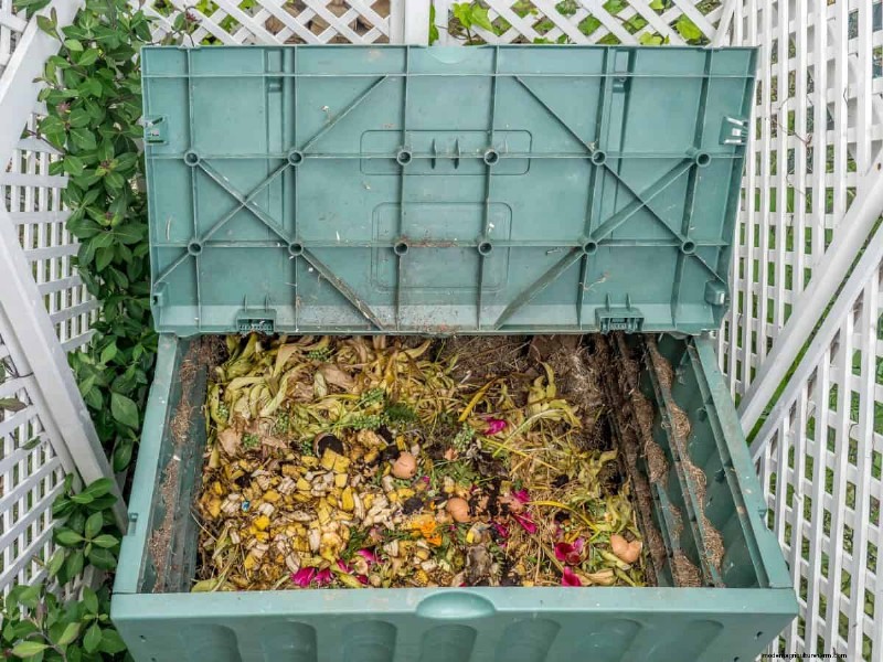 Vermijd veel voorkomende compostfouten voor een overvloedige tuin 