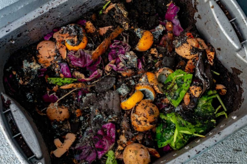 Vermijd veel voorkomende compostfouten voor een overvloedige tuin 