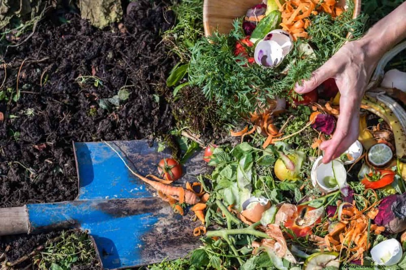 Vermijd veel voorkomende compostfouten voor een overvloedige tuin 
