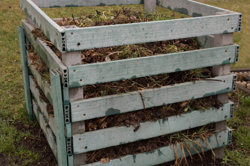 Vermijd veel voorkomende compostfouten voor een overvloedige tuin 