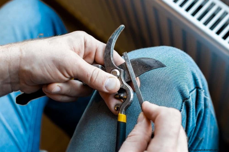 Onderhoud van tuingereedschap middenseizoen:houd uw uitrusting in topvorm 