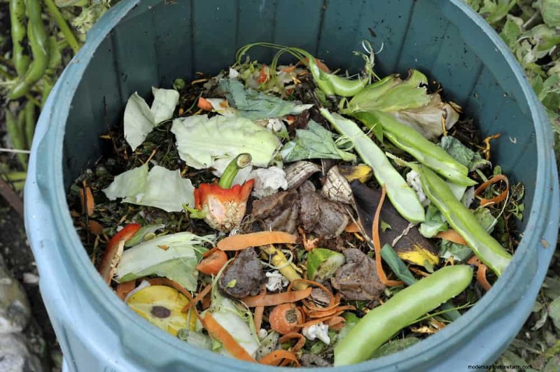 Cura del prato naturale:erba sana senza prodotti chimici 