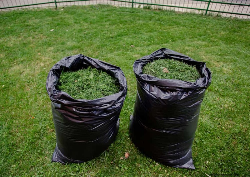 Cura del prato naturale:erba sana senza prodotti chimici 