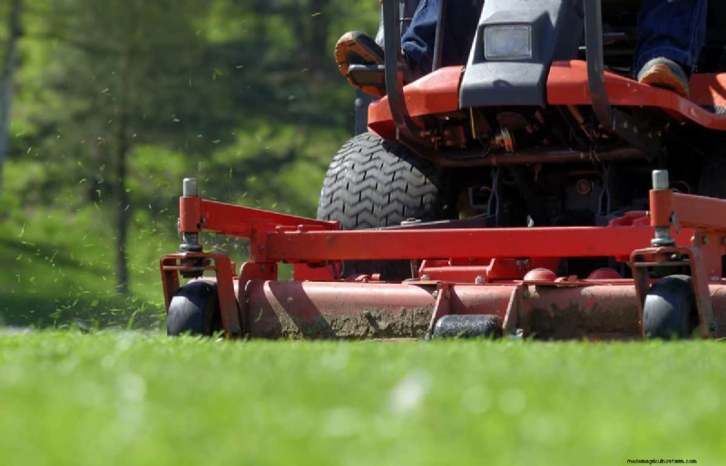 Cura del prato naturale:erba sana senza prodotti chimici 