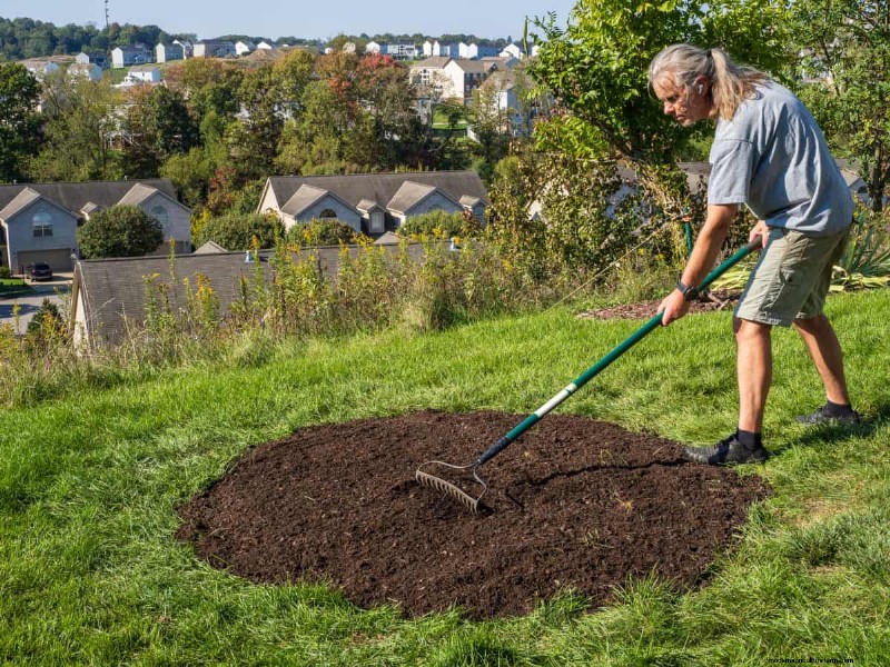 Cura del prato naturale:erba sana senza prodotti chimici 
