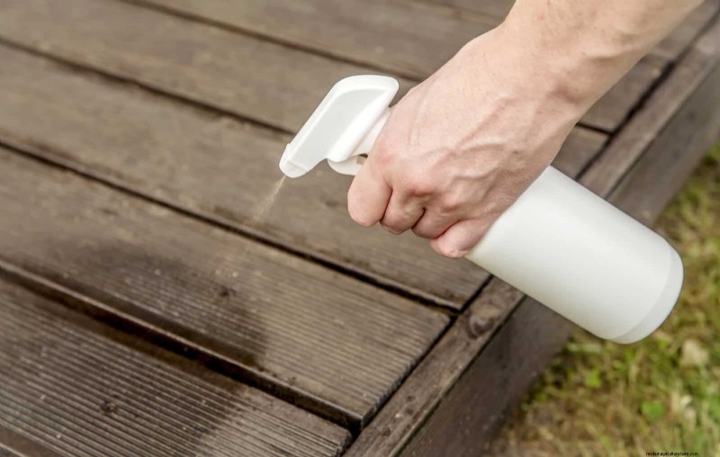 Control eficaz de hormigas en el jardín:9 métodos naturales y probados 