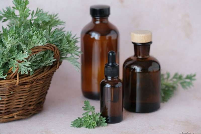 Control eficaz de hormigas en el jardín:9 métodos naturales y probados 