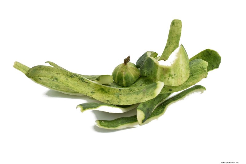 Control eficaz de hormigas en el jardín:9 métodos naturales y probados 
