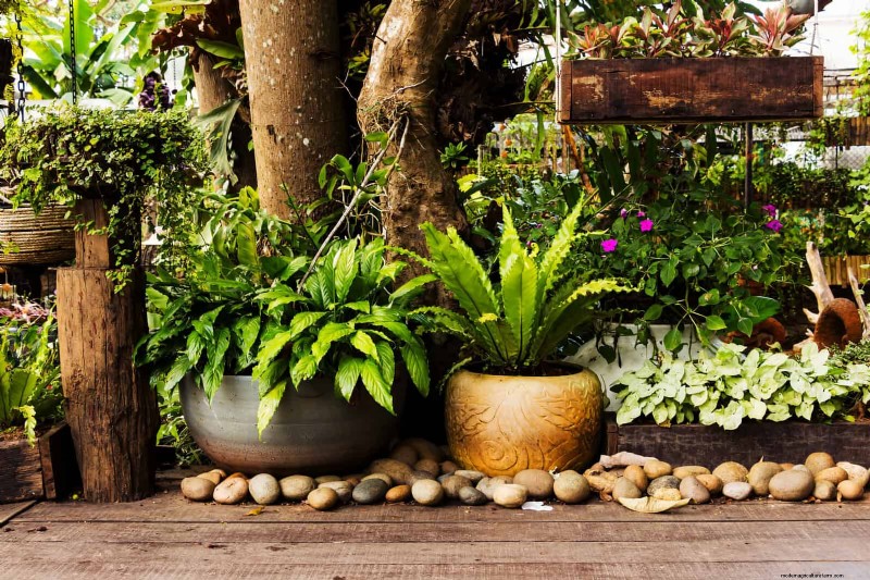 Control eficaz de hormigas en el jardín:9 métodos naturales y probados 