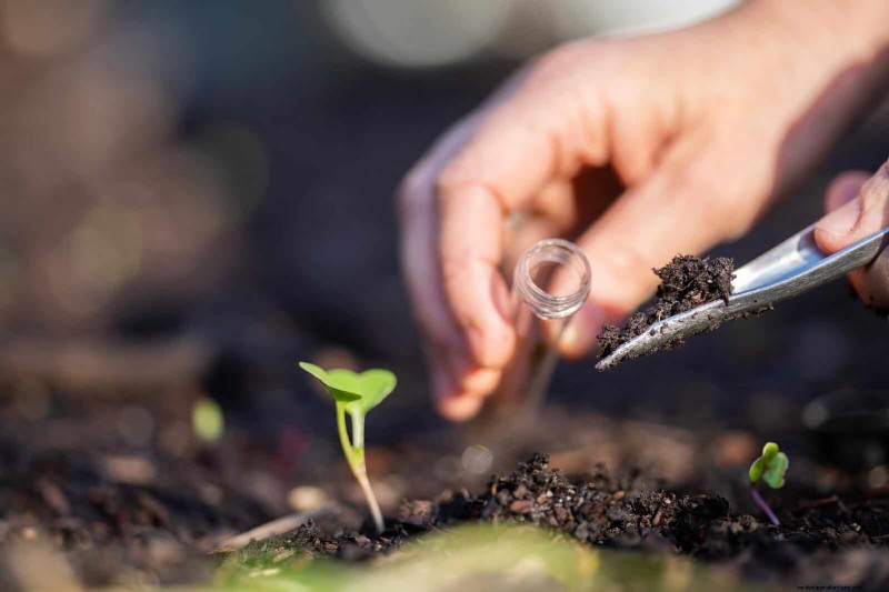 Veranderende hortensiakleuren in juli:een tuinmangids 