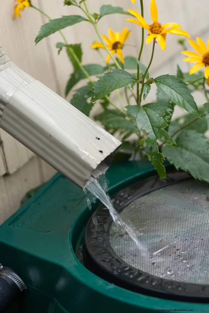 Waterwijs tuinieren:tips voor juli om water te besparen en planten gezond te houden 