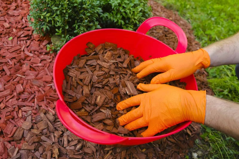 Waterwijs tuinieren:tips voor juli om water te besparen en planten gezond te houden 
