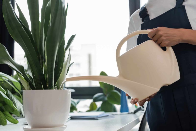 Waterwijs tuinieren:tips voor juli om water te besparen en planten gezond te houden 