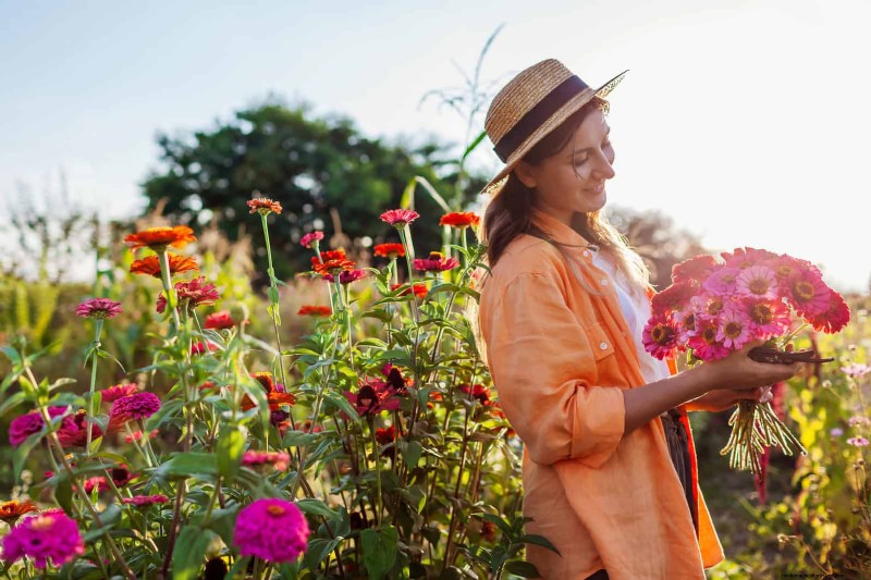 Knip-en-kom-weer-bloemen voor juli:eindeloze boeketten 