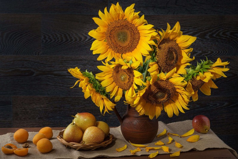 Knip-en-kom-weer-bloemen voor juli:eindeloze boeketten 