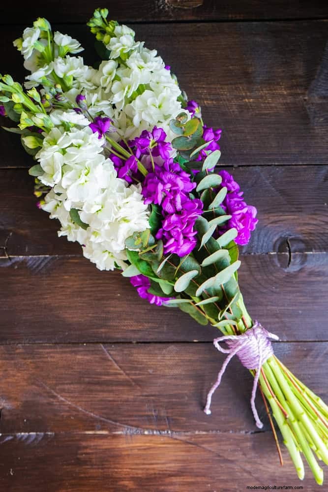 Knip-en-kom-weer-bloemen voor juli:eindeloze boeketten 