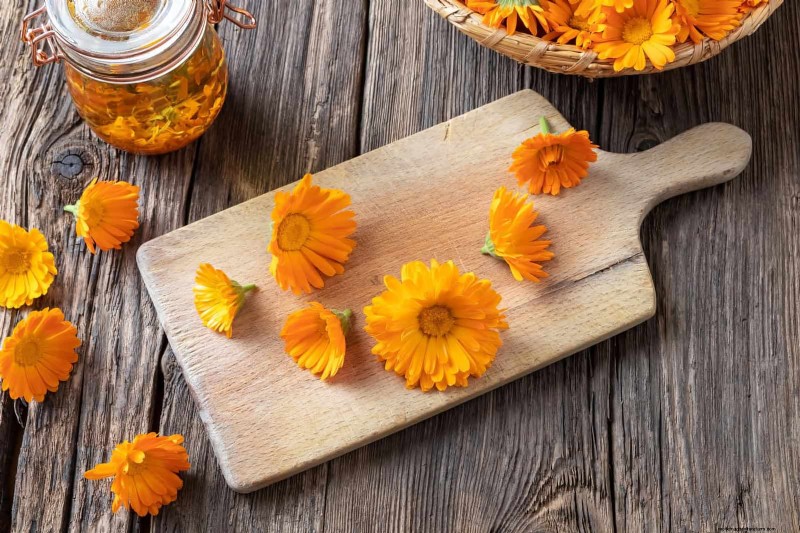 Knip-en-kom-weer-bloemen voor juli:eindeloze boeketten 