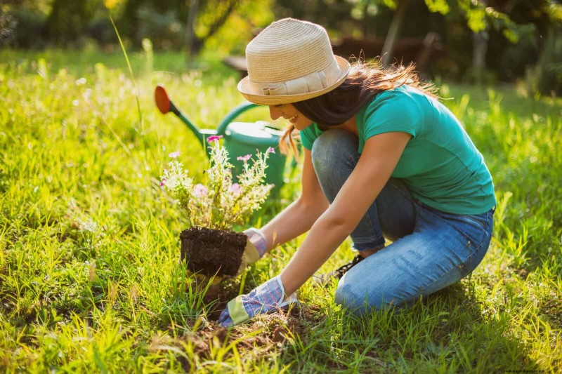Knip-en-kom-weer-bloemen voor juli:eindeloze boeketten 