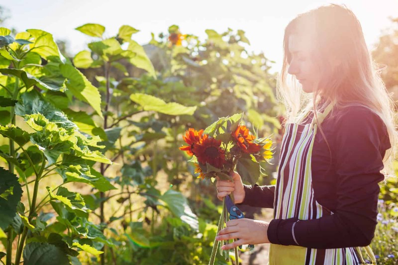 Knip-en-kom-weer-bloemen voor juli:eindeloze boeketten 