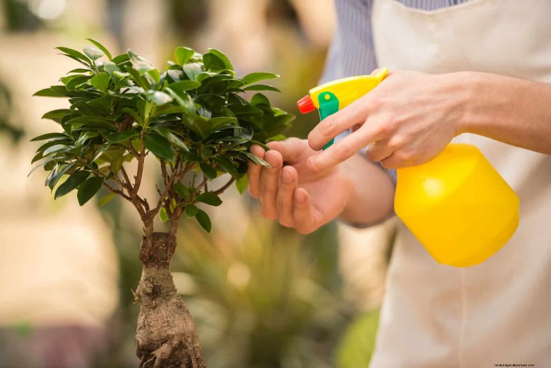 Organische ongediertebestrijding:19 natuurlijke oplossingen voor tuinproblemen in juli 