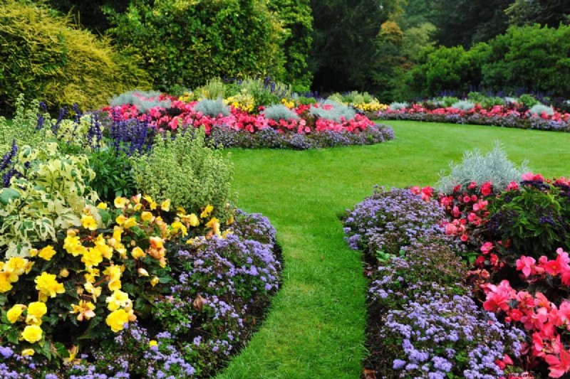 Organische ongediertebestrijding:19 natuurlijke oplossingen voor tuinproblemen in juli 